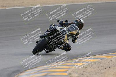 media/Dec-17-2022-SoCal Trackdays (Sat) [[224abd9271]]/Turn 10 Backside (120pm)/